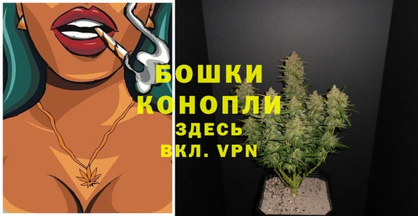 ГАЛЛЮЦИНОГЕННЫЕ ГРИБЫ Гусиноозёрск