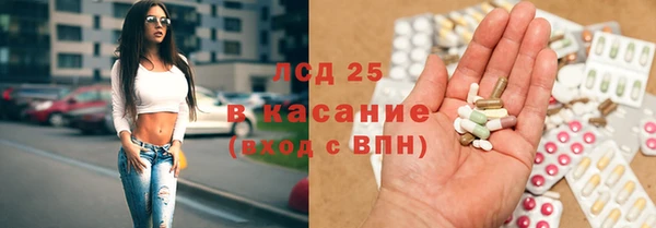ГАЛЛЮЦИНОГЕННЫЕ ГРИБЫ Гусиноозёрск