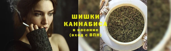 ГАЛЛЮЦИНОГЕННЫЕ ГРИБЫ Гусиноозёрск