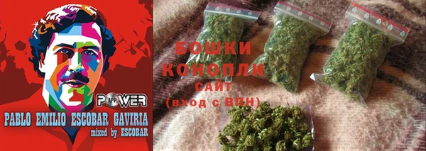 ГАЛЛЮЦИНОГЕННЫЕ ГРИБЫ Гусиноозёрск