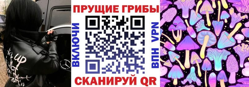 Купить где  Можга  Псилоцибиновые грибы Psilocybe 
